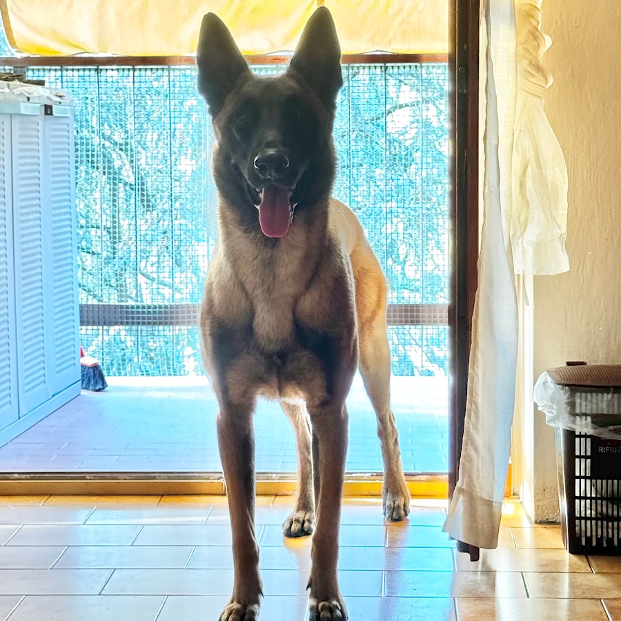 AMLnZu8H7sskV1hQkcu9YRU9tPy7CB5kptpwCCDdht4b=s900ckc0x00ffffffnorj