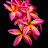 VATSAL PARMAR Avatar
