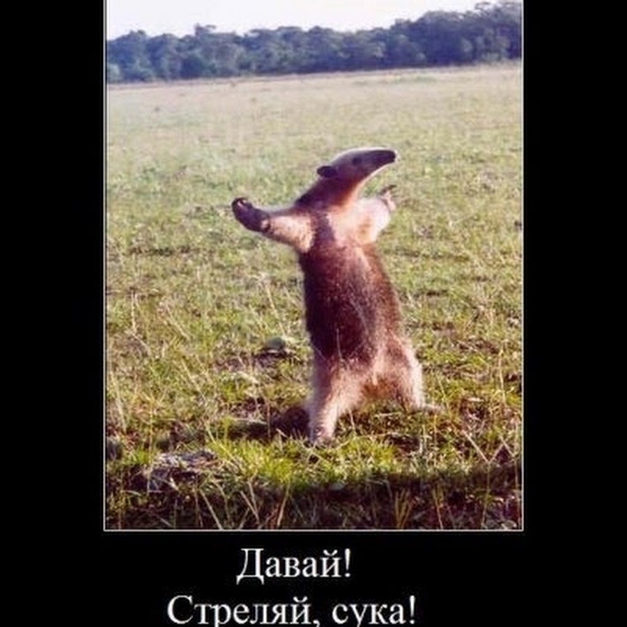Ебашь с ноги