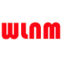 WLNM - The Web Light Novel and Manga Review YouTube Profile Photo