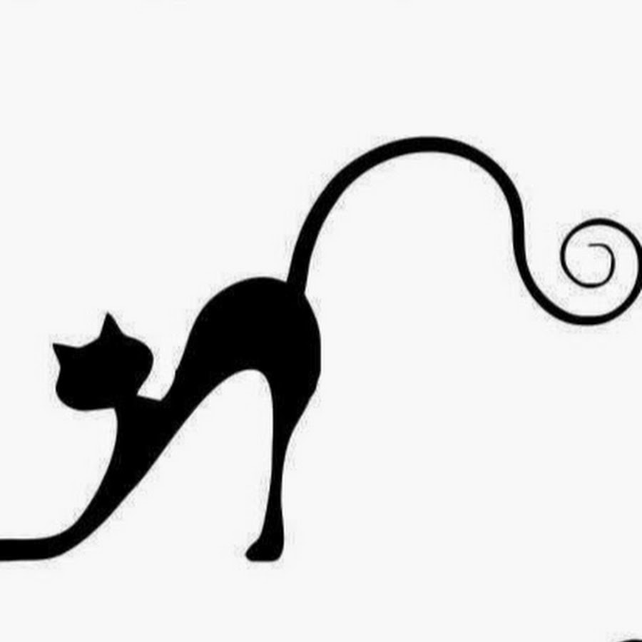Кот подтягивается рисунок