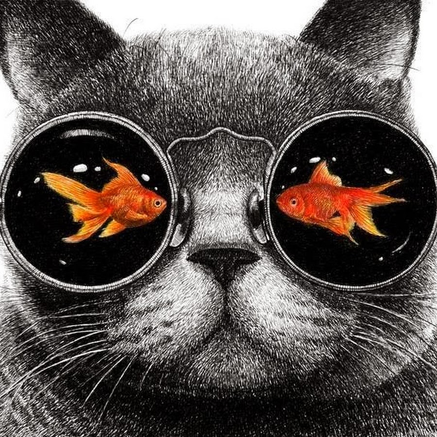 Кот с очками рисунок