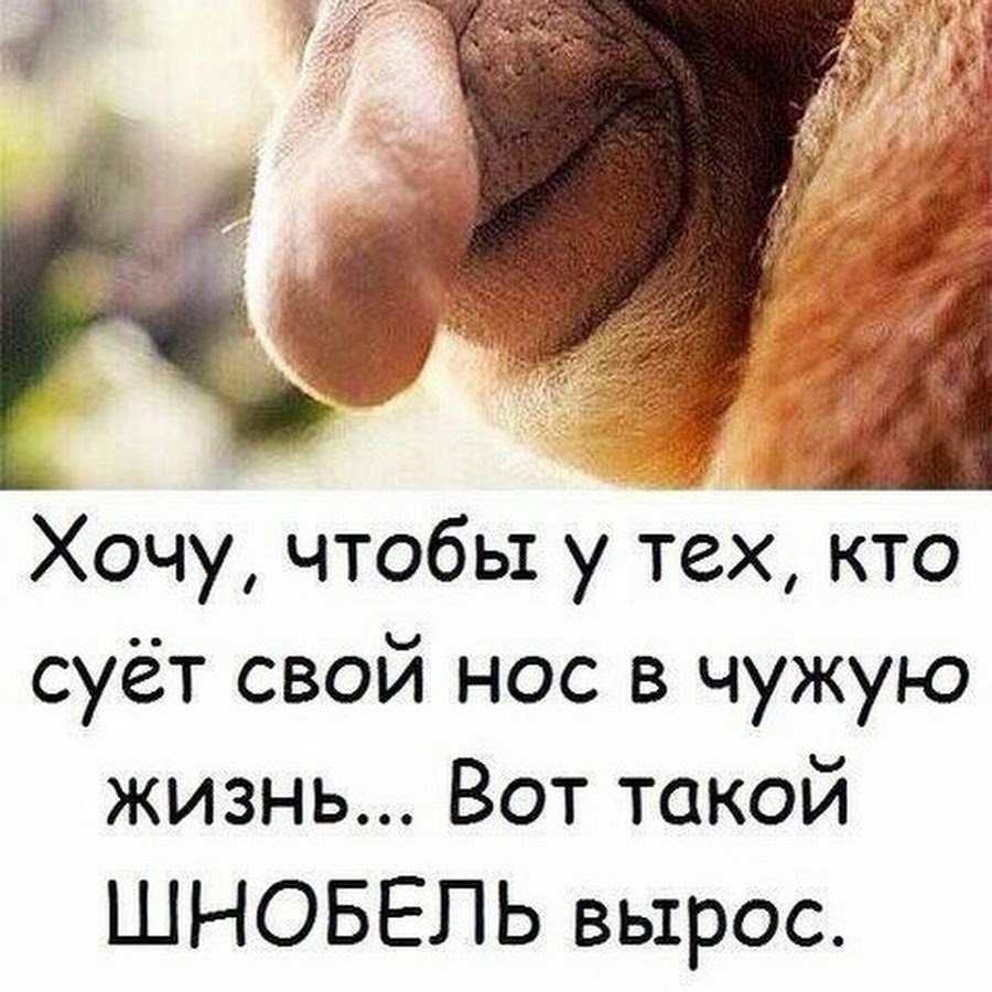 совать нос в чужие дела