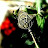Sudha Arumugam Avatar
