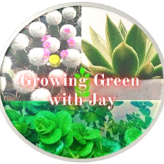 Thumbnail of related channel