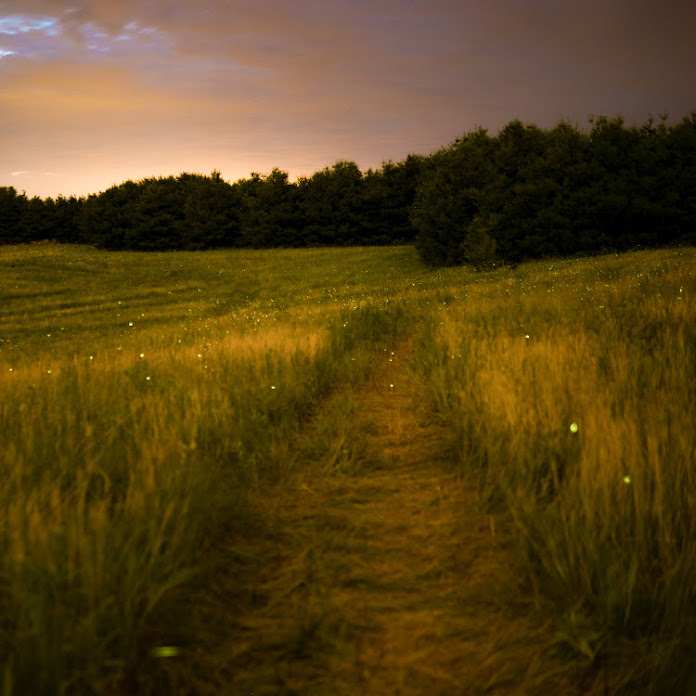 JRESHOW Net Worth & Earnings (2026)