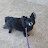 Jerry Richards Avatar