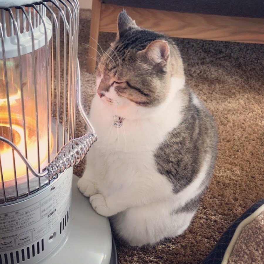 ストーブねこぶさお Youtube