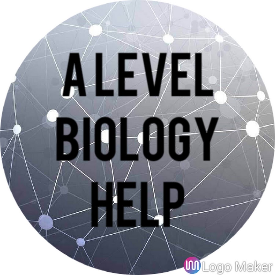 AMLnZu8Mb873_XUXoPZC7gl1MFWEmz9TSidXrb7caz6S=s900ckc0x00ffffffnorj