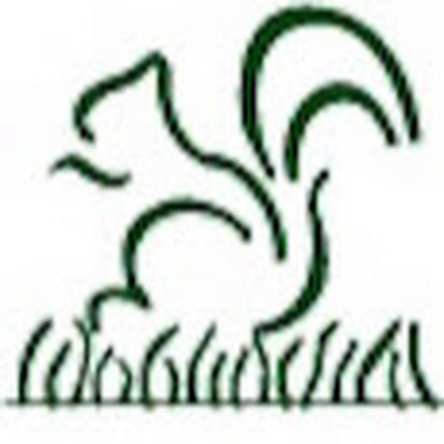 Houston Landscape Pros - YouTube