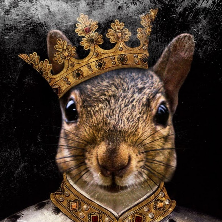 Беличий король. Беличий король. Беличий король. Беличий король. Беличий крысиный король.