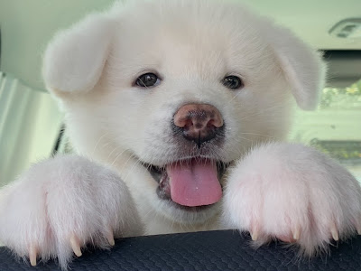 [最も欲しかった] u チャン���ル 745595-U-sen チャンネル