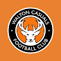 Walton Casuals FC YouTube Profile Photo