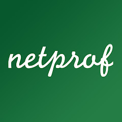netprof net worth