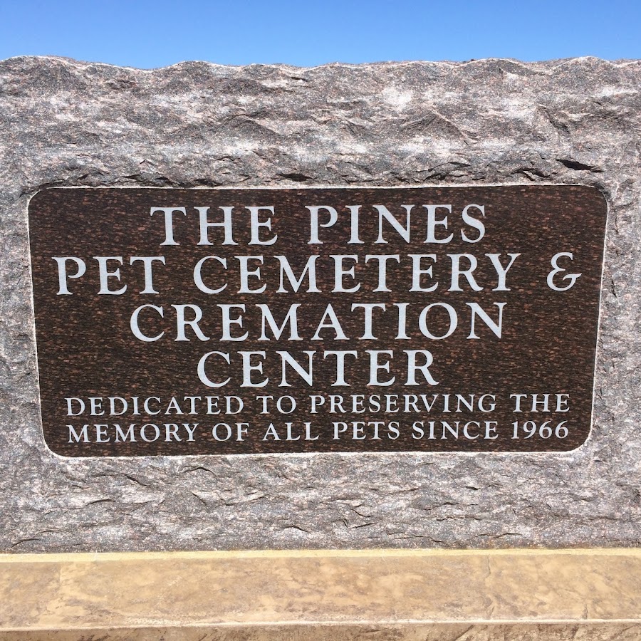 AMLnZu8PhH4YR2Hy_eg3wijafCCc__C22WNlTrJE6q8Eg=s900ckc0x00ffffffnorj