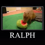 Ralph YouTube Profile Photo