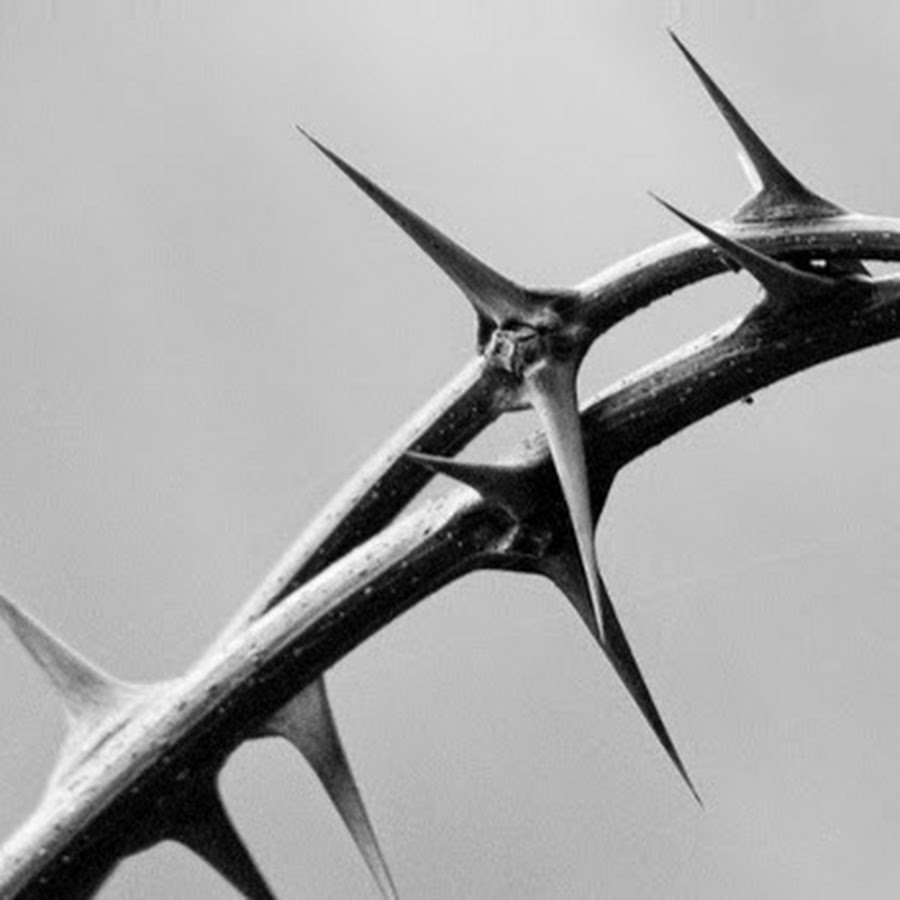 Как сделать колючки на стене - 84 фото