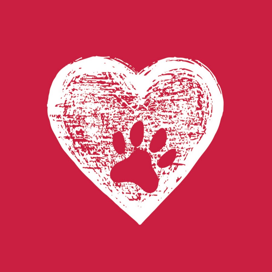 AMLnZu8Qc3mQneRLaXhiT5orIsU7lhKIprbDAV03x8daMQ=s900ckc0x00ffffffnorj