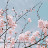 박부자