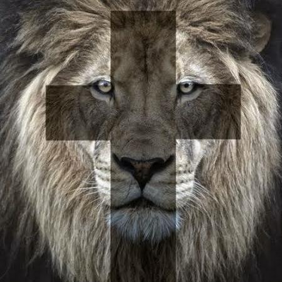 Лев с крестом. Христианский Лев. Иисус Лев. Крутые фото Льва.