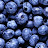 Spicy Blueberry