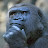 Stank Delicious Avatar