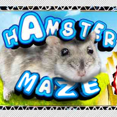DIY Hamster Maze Avatar