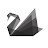 블랙스완(BlackSwan)TV