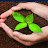Vishwa .S Avatar