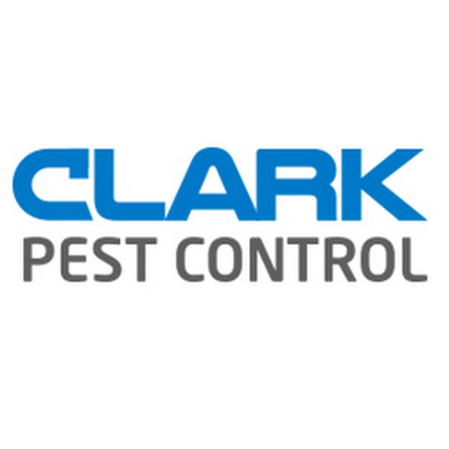 AMLnZu8U8ElAAURn7O7XFOhdS9AORlrq8ZVdRHB6r88gAQ=s900ckc0x00ffffffnorj