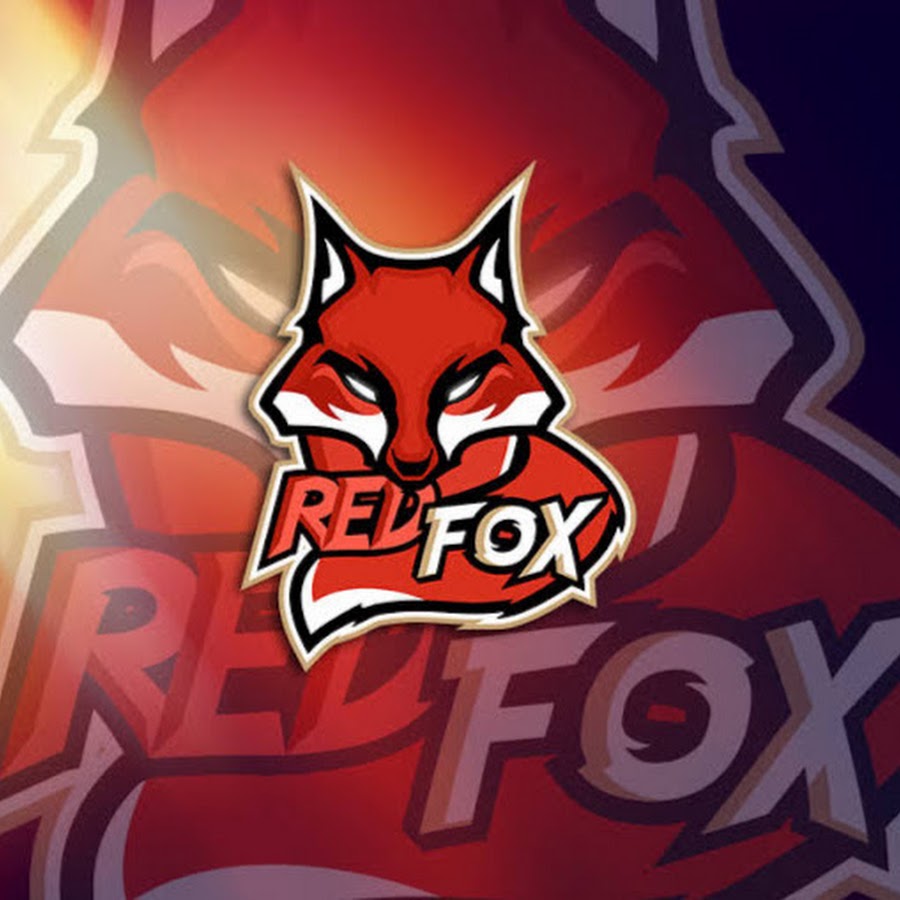 Red fox 2024