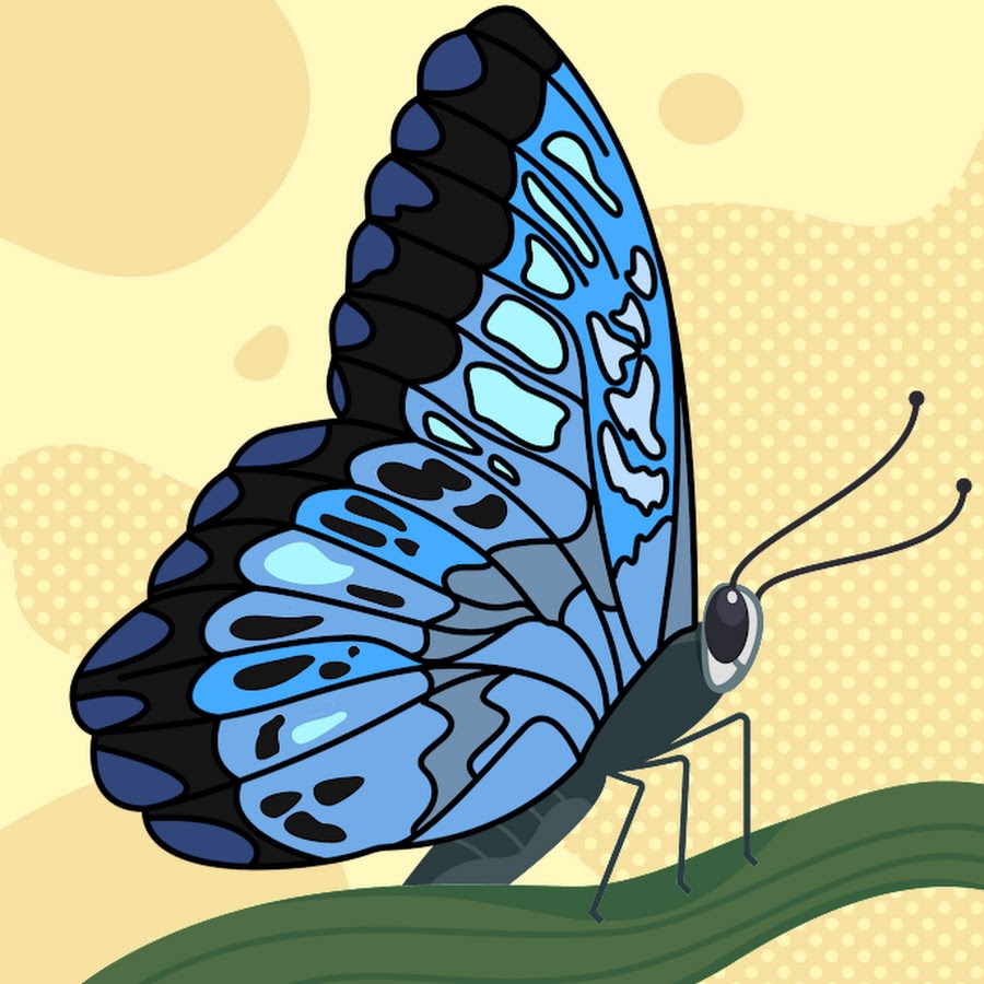 AMLnZu8Usa3HLZkLFtT_XbEZU_Aihek1MHxoje187kuI=s900ckc0x00ffffffnorj