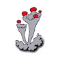 The British Lichen Society YouTube Profile Photo