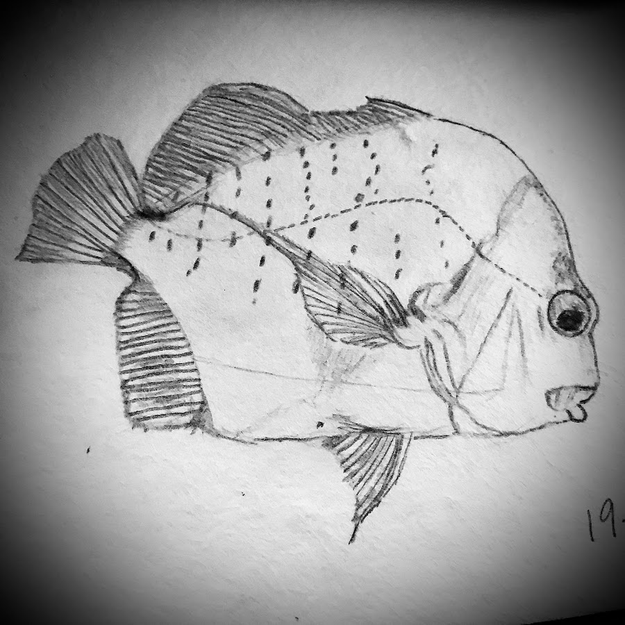 大漁小魚 Youtube