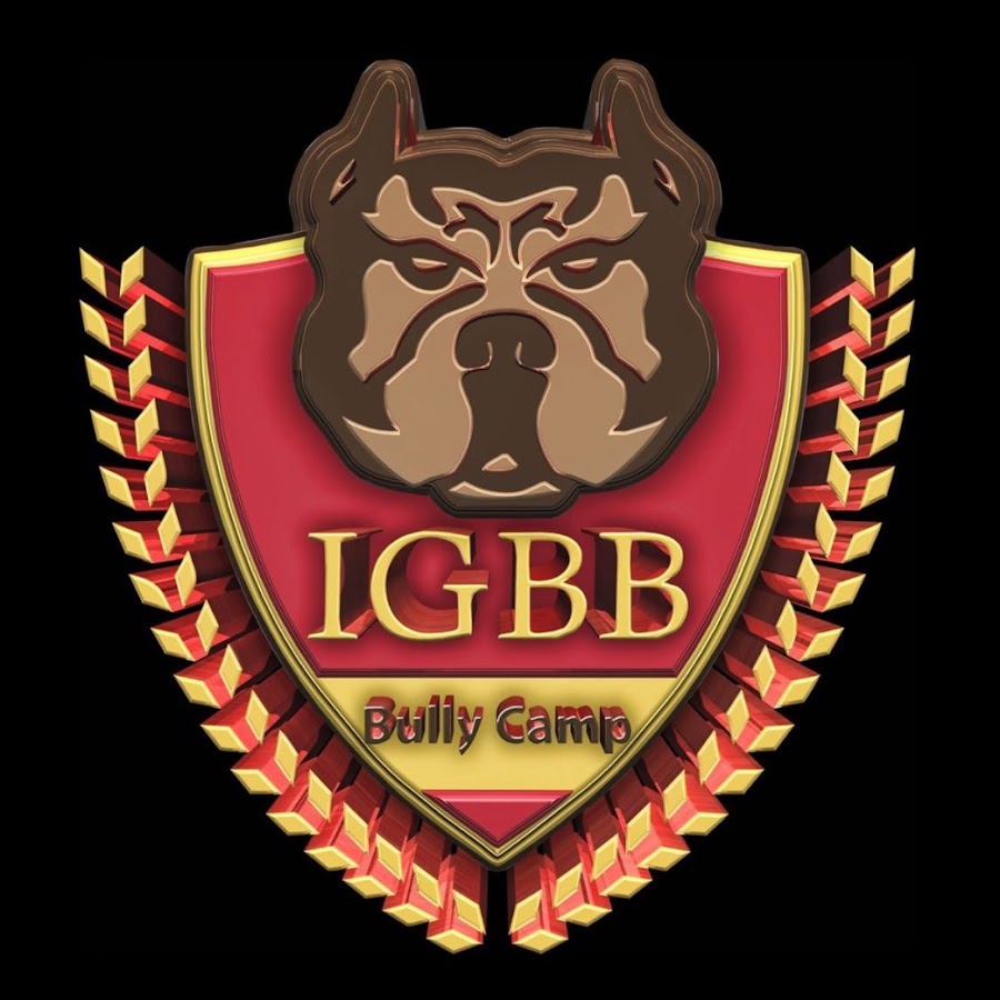 IGBB Bully Camp - YouTube