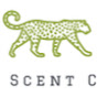 Soul Scent Co Uk YouTube Profile Photo