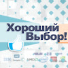 What could Хороший выбор! buy with $100 thousand?