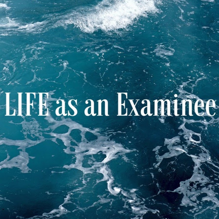 [閒聊] 有外交特考筆記的yt頻道