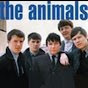 The Animals Tribute Channel - @magusmagic5 YouTube Profile Photo