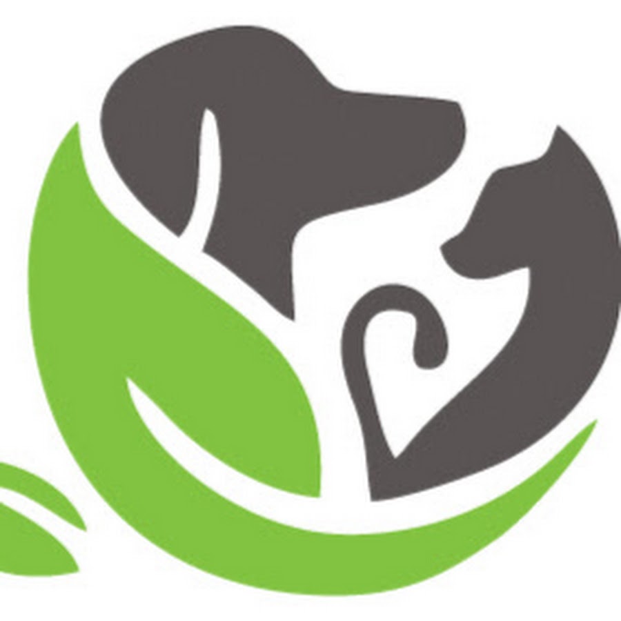 Приют для животных в тирасполе. Велес приют для животных ленинградская область. Центр помощи бездомным животным. Плакаты в поддержку бездомных животных. Животные в приюте.