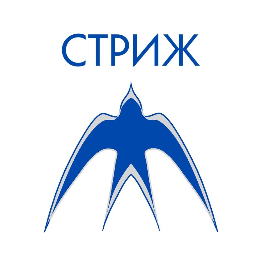 Ласточка эмблема. Ласточка символ. Стриж символ. Векторное изображение ласточки. Эмблема стрижи.