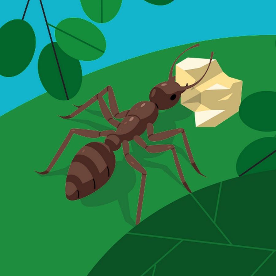 AMLnZu8YEChN1zfsbkNPDu4QxGvXsLgXFV4bCOe9p57IRw=s900ckc0x00ffffffnorj