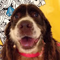 Animal Assisted Interactions Class YouTube Profile Photo