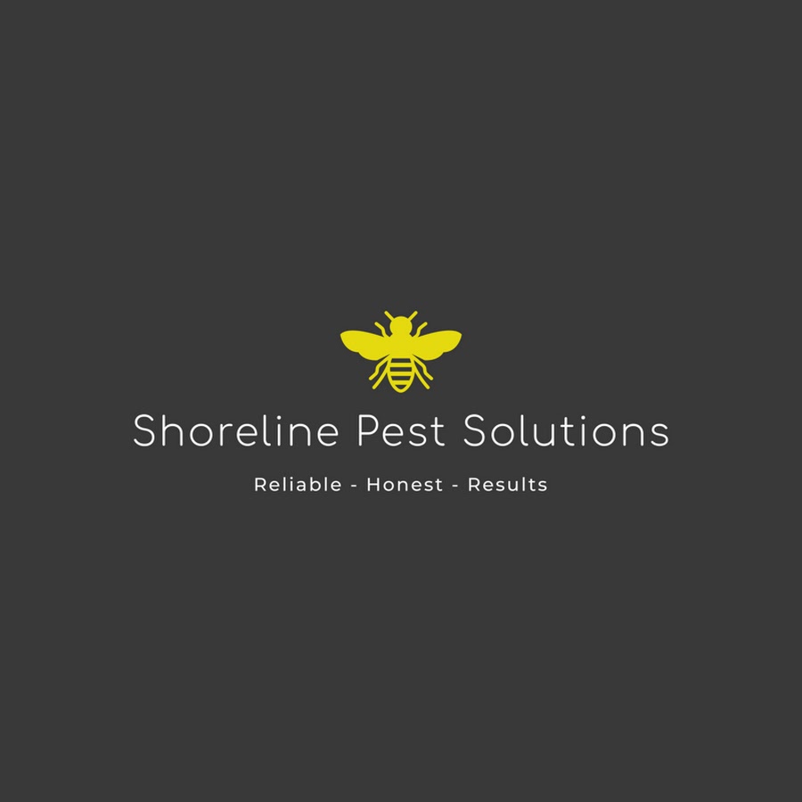 AMLnZu8Zhv7kidGUSvTyN5CeCDCNRvBJEpMM5PmA11S=s900ckc0x00ffffffnorj