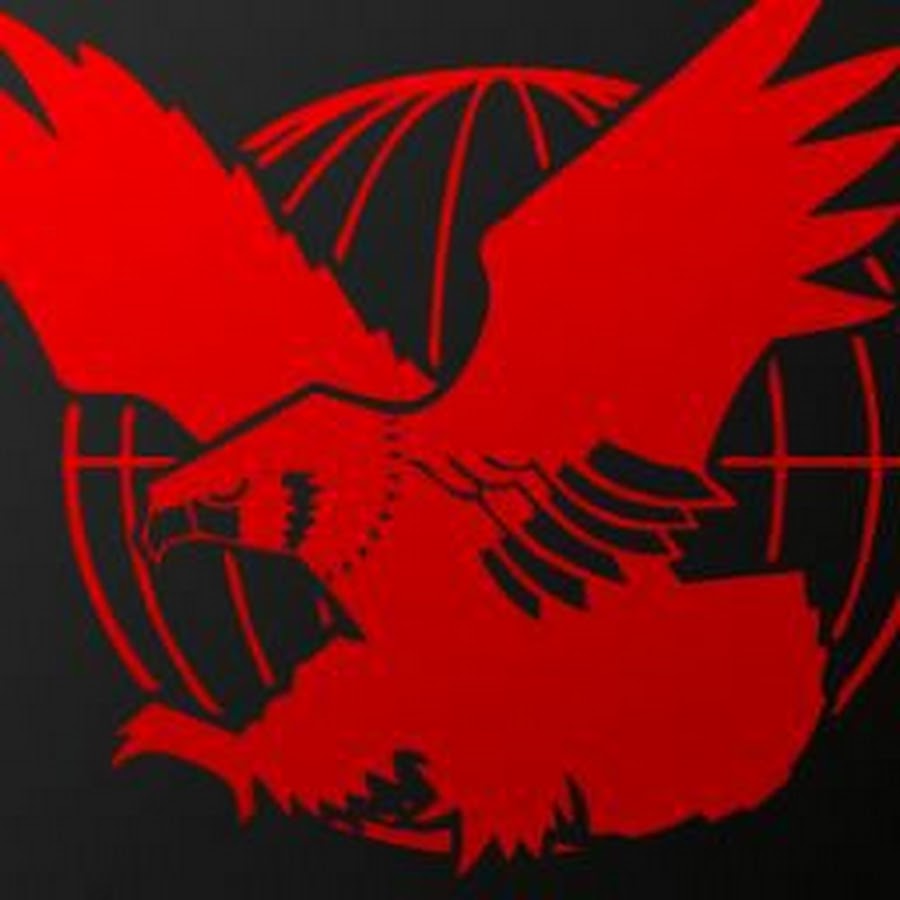 Falcon ハル Youtube