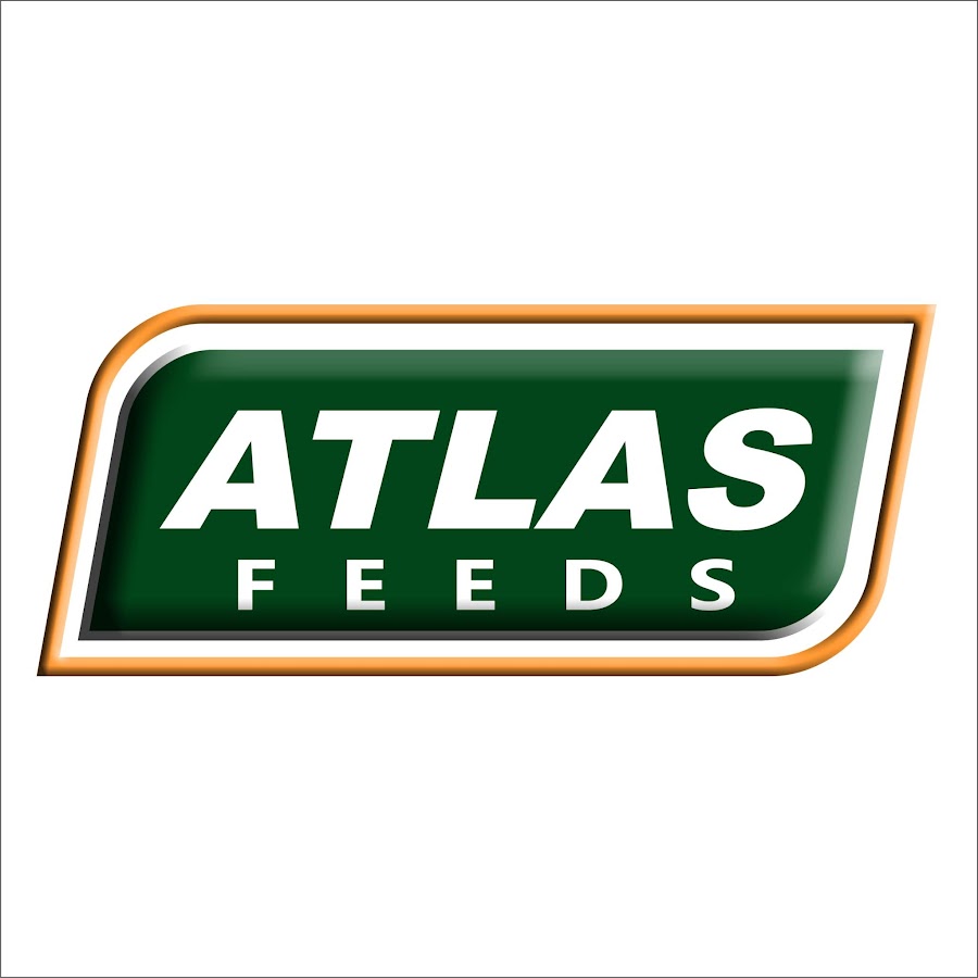 AMLnZu8Zicop2RkwnqOhKJkzVi86ZnY9uWZUeOU3BZ2Lkg=s900ckc0x00ffffffnorj