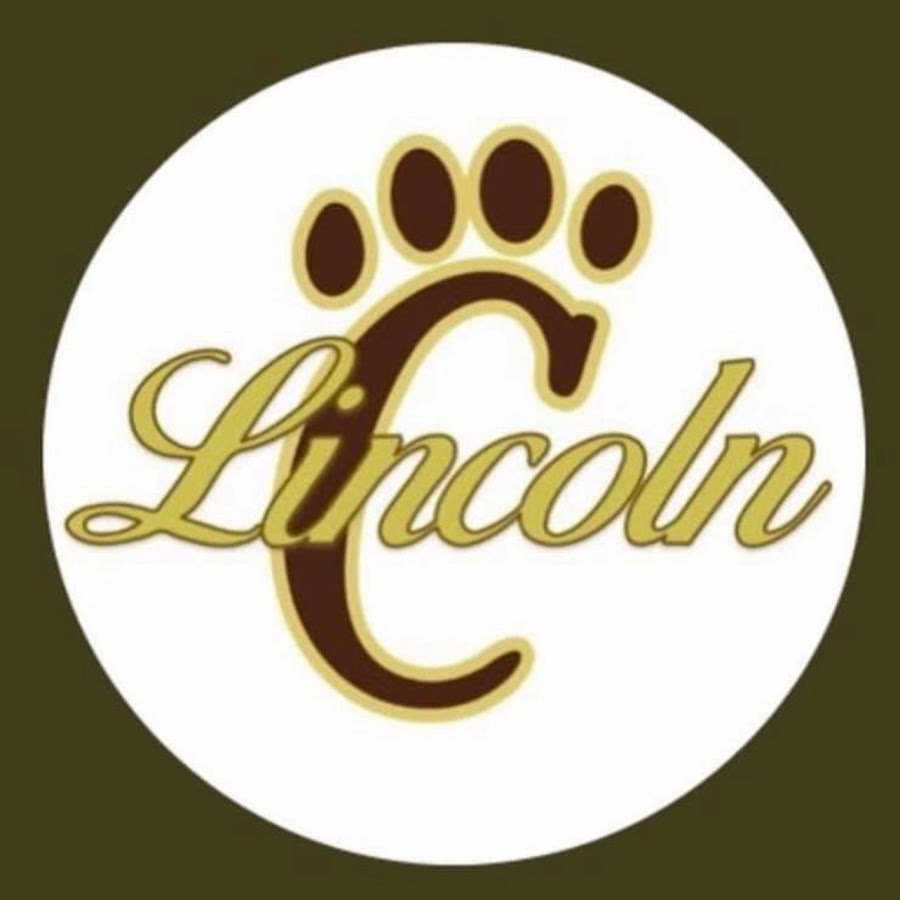 AMLnZu8_QVKMOj469qJwG3J0Yj3Zmu0O0fkEtJrkndkHEA=s900ckc0x00ffffffnorj