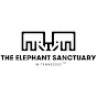 elephantsanctuarytn - @elephantsanctuarytn YouTube Profile Photo