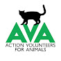 AVA Cat Rescue YouTube Profile Photo