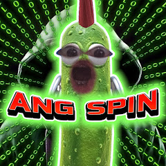 ANG Spin net worth